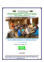 2016 REFLEXION SUR INTENSIFICATION AGRICOLE