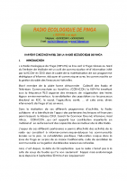 RAPPORT CIRCONSTANCIEL REPI