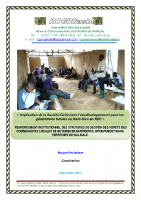 RAPPORT RENFORCEMENT INSTITUTIONNEL