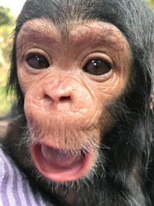 Elykia, 1 mois et demi plus tard 2.500kg